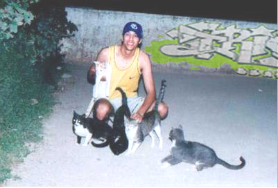 cats